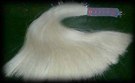 horse hair flogger